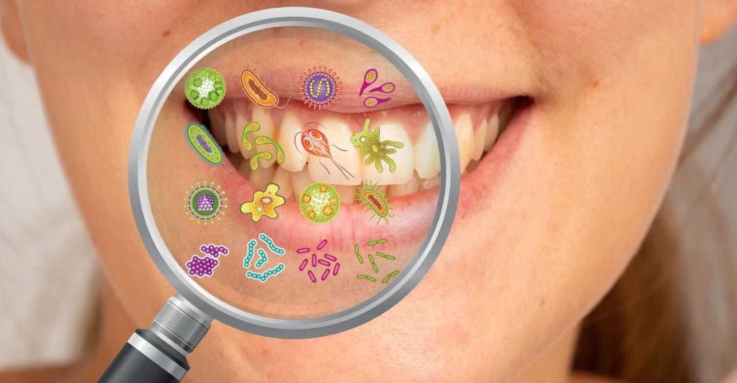 Bacteria in the Mouth inblog